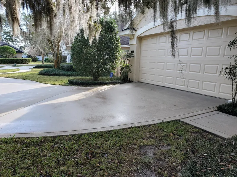 A freshly cleaned concrete driveway beside a trimmed shrub
