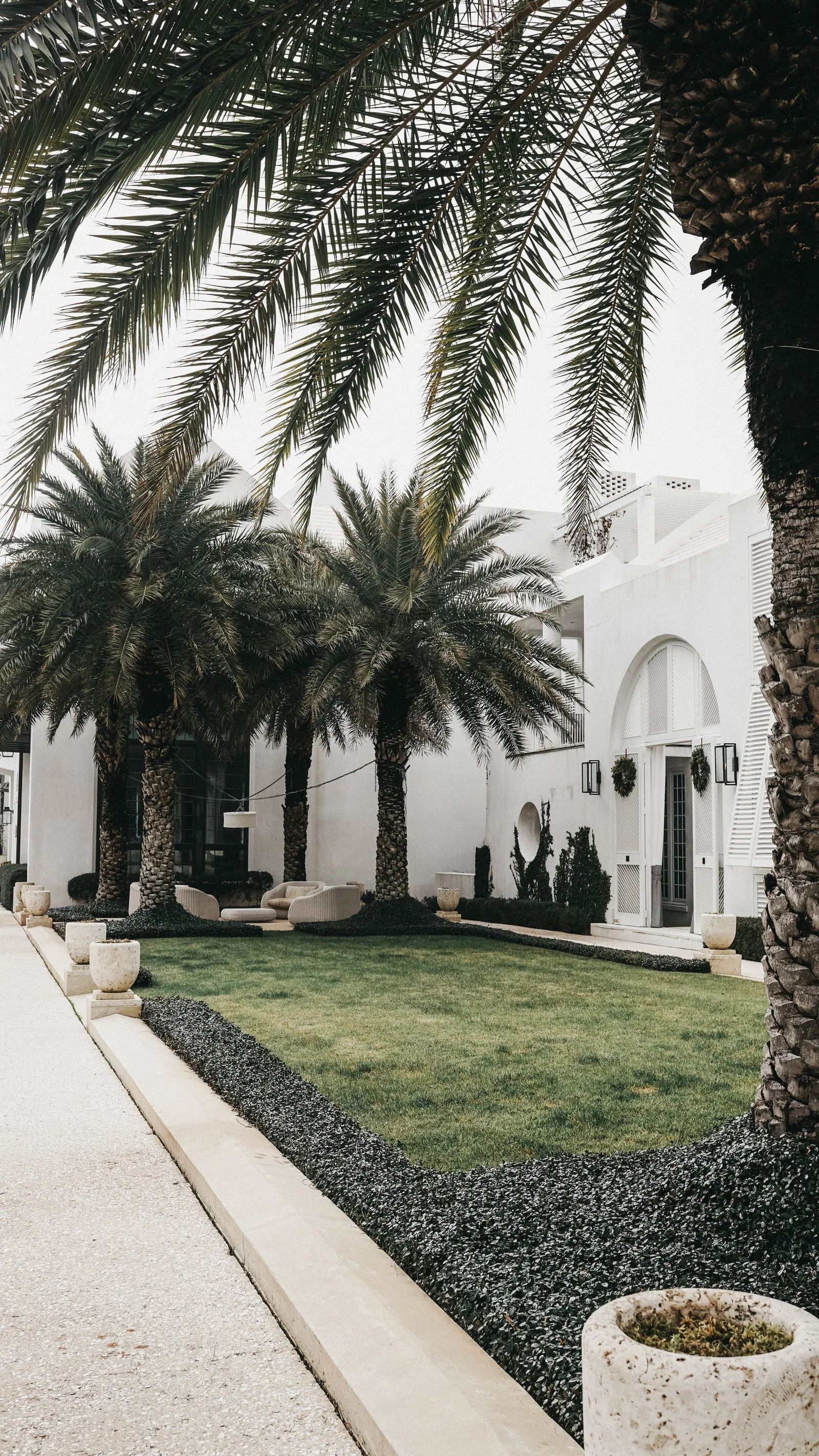 A Central Florida residential courtyard framed by palms