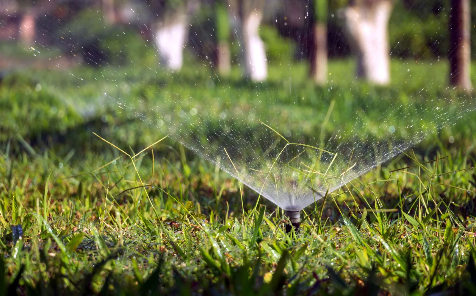 Irrigation in Lake Mary, Florida