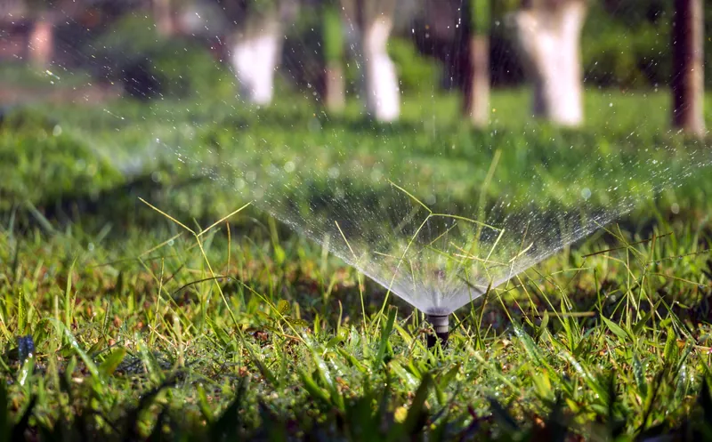 A garden sprinkler watering a lawn in sunlight