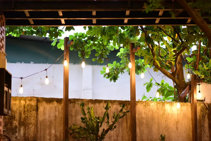 String lighting over a planted garden