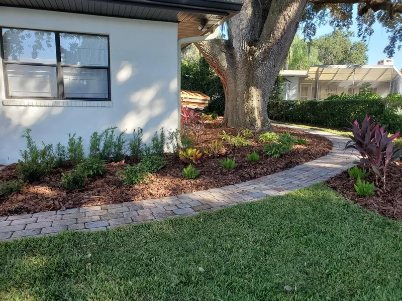 A paver path curving beneath a mature live oak