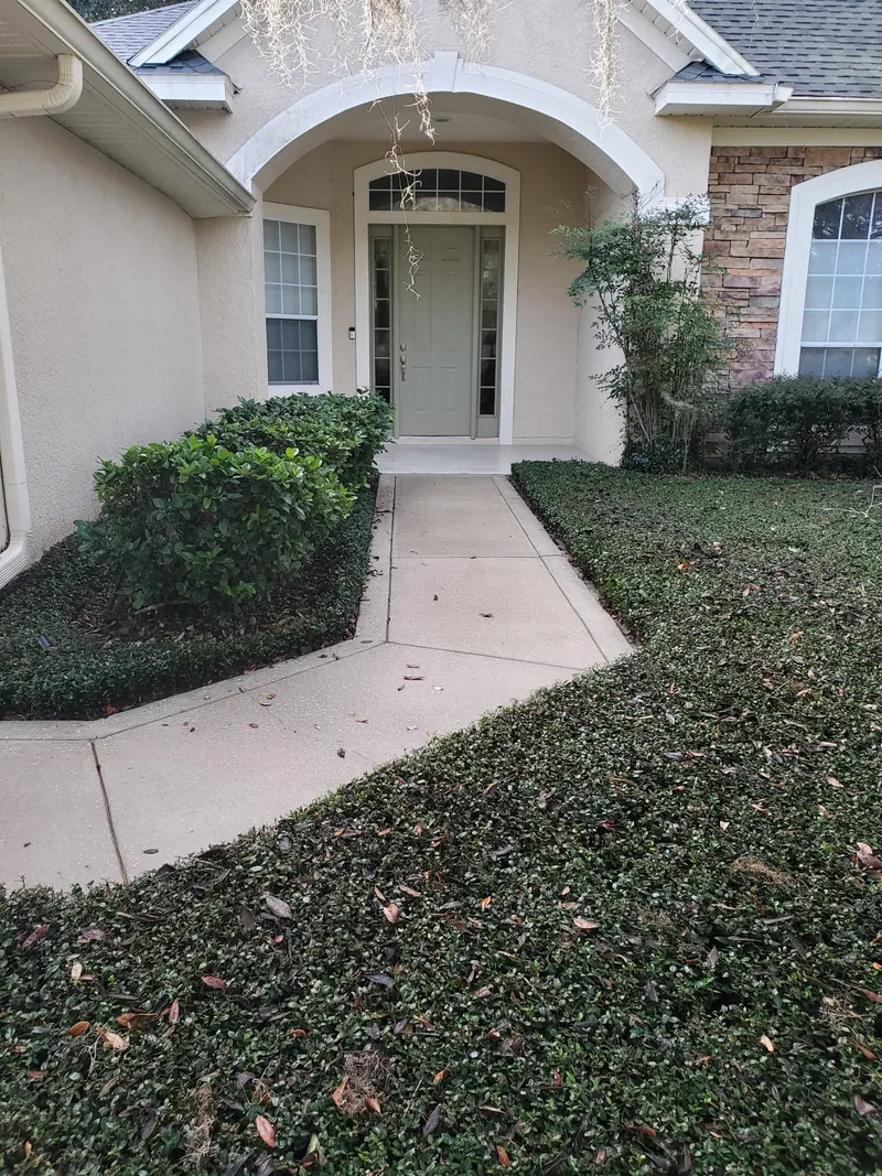 A clean walkway between sharply trimmed hedges leading to a front door