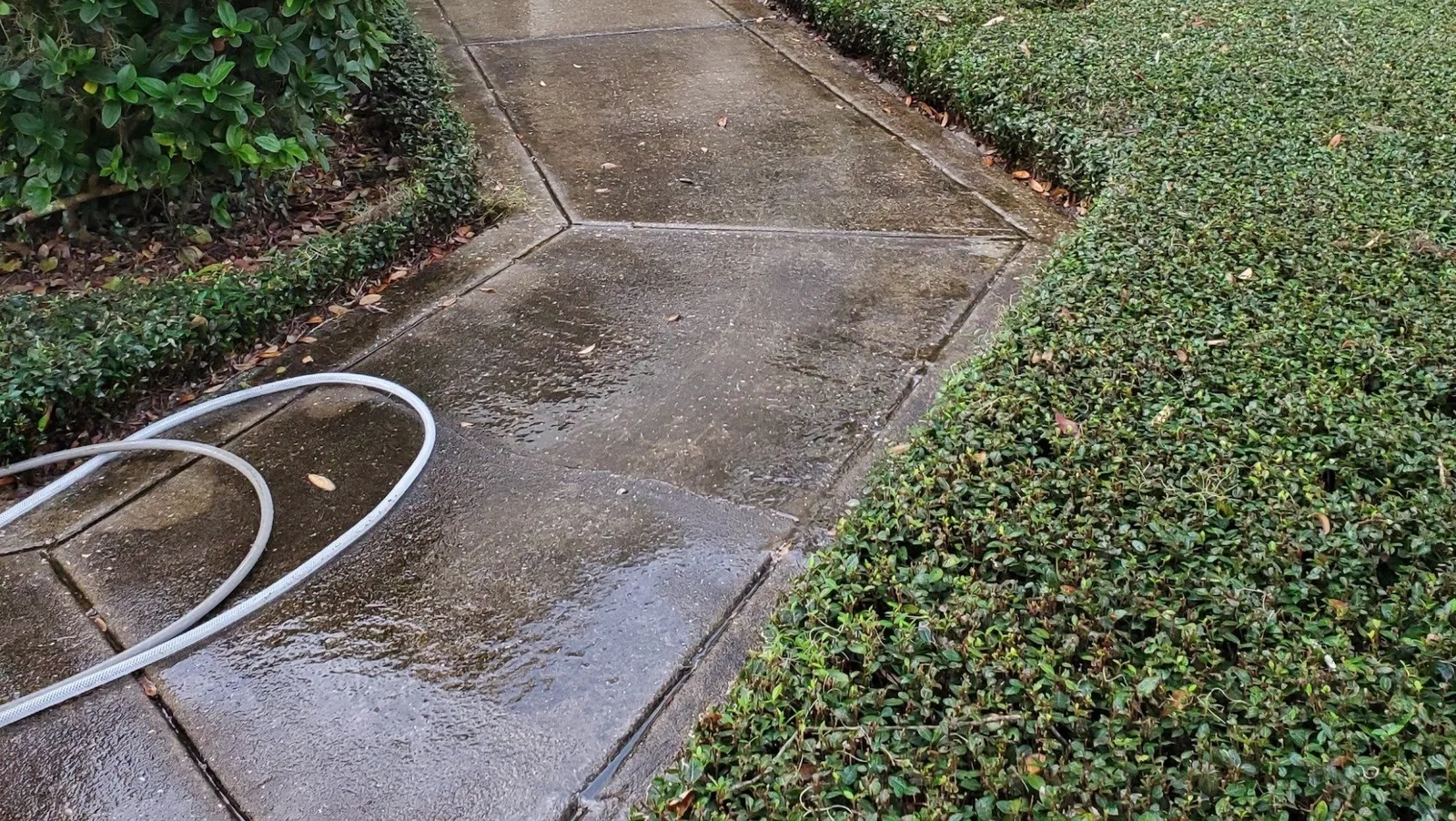 A Central Florida driveway before pressure washing, greyed and organically stained